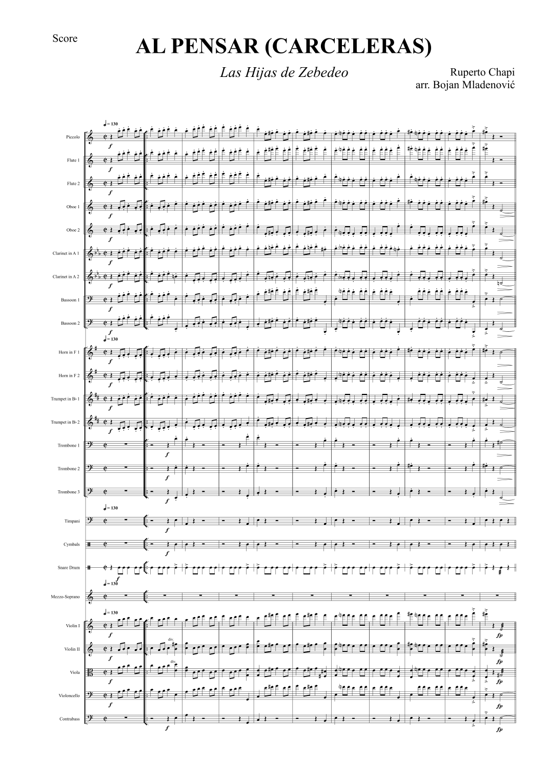 Al pensar (Carceleras) from Las hijas del Zebedeo (arr. Bojan Mladenović) by Ruperto Chapi 管弦乐团 - 预览