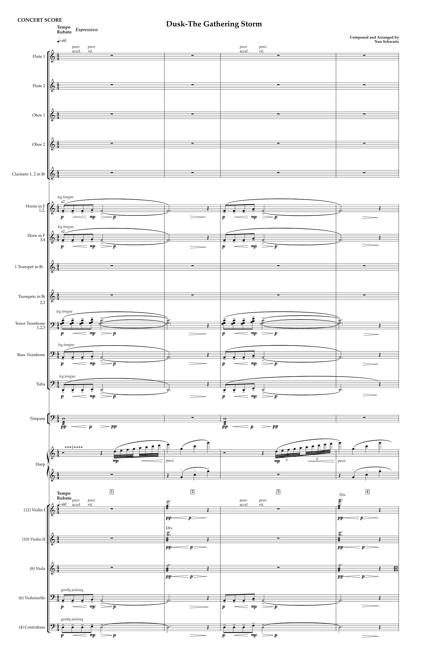 Nan Schwartz 的 Dusk The Gathering Storm 管弦乐团版 - 预览