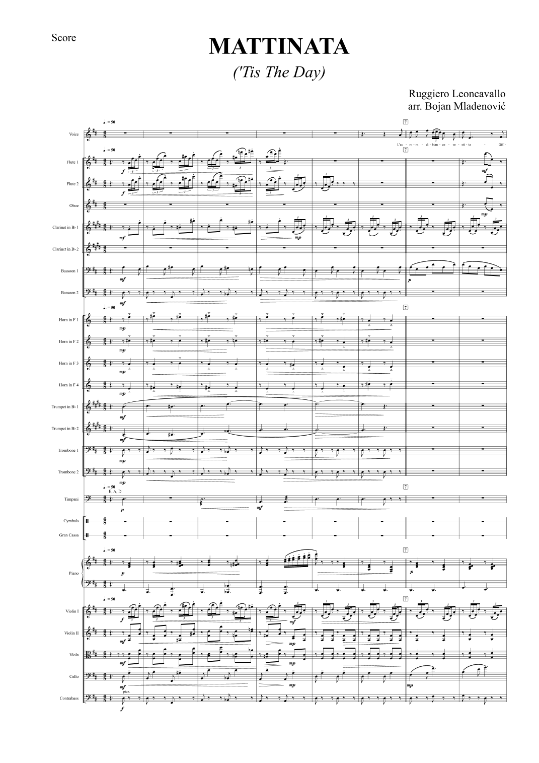 Mattinata ('Tis The Day) (arr. Bojan Mladenović) by Ruggiero Leoncavallo 管弦乐团 - 预览