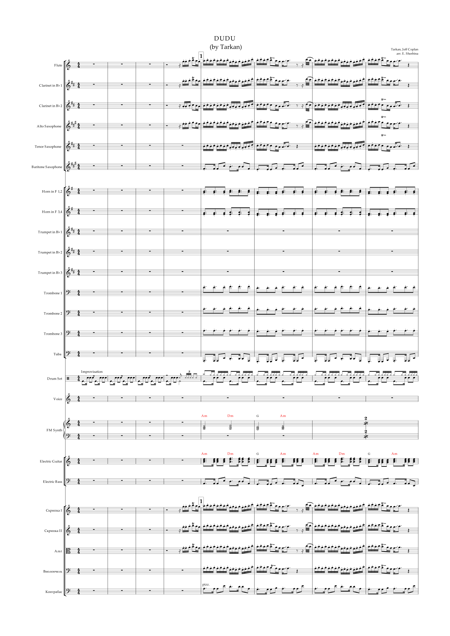 Dudu (arr. Elena Sherbina) by Nazan Oncel Full Orchestra