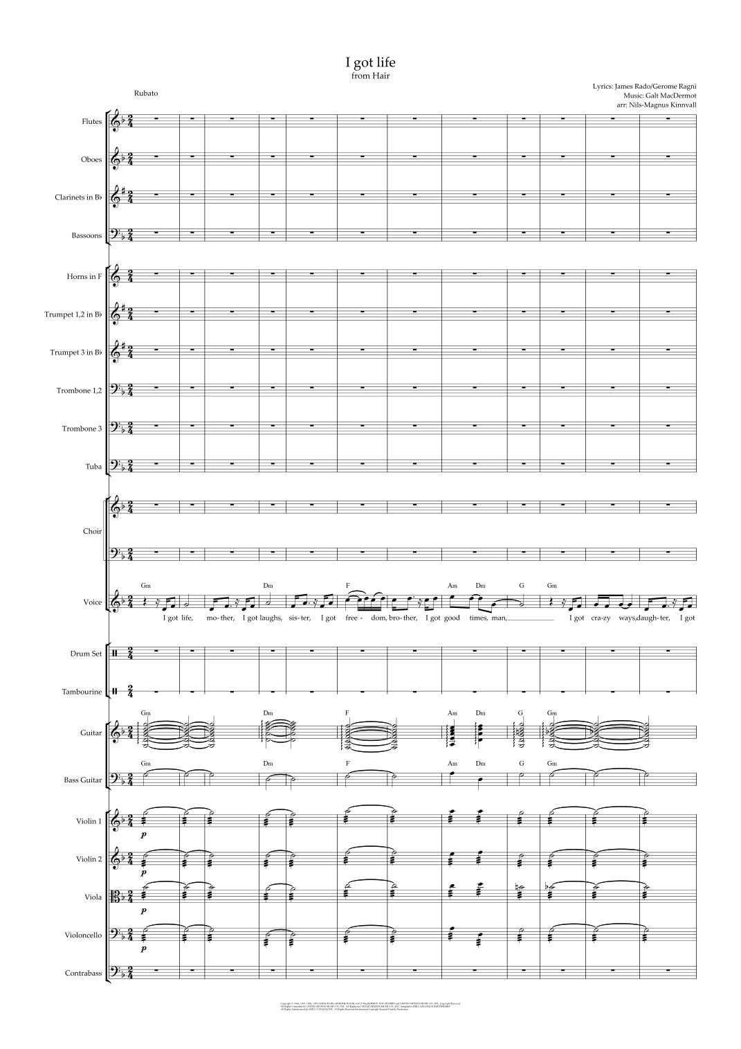 I Got Life (arr. Nils-Magnus Kinnvall) by Galt MacDermot 管弦乐团 - 预览