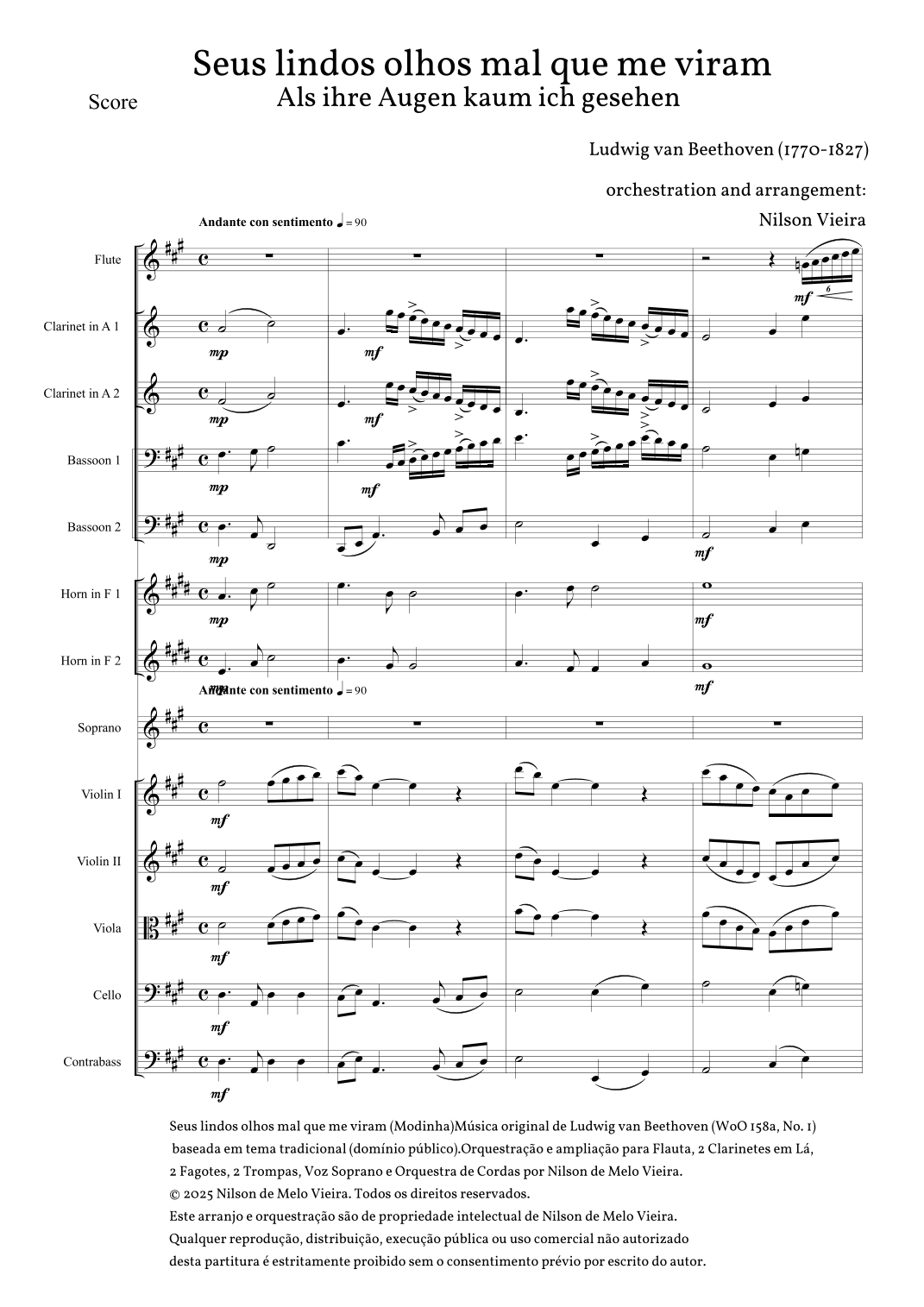 Seus Lindos Olhos Mal Que Me Viram (arr. Nilson de Melo Vieira) by Nilson de Melo Vieira Full Orchestra
