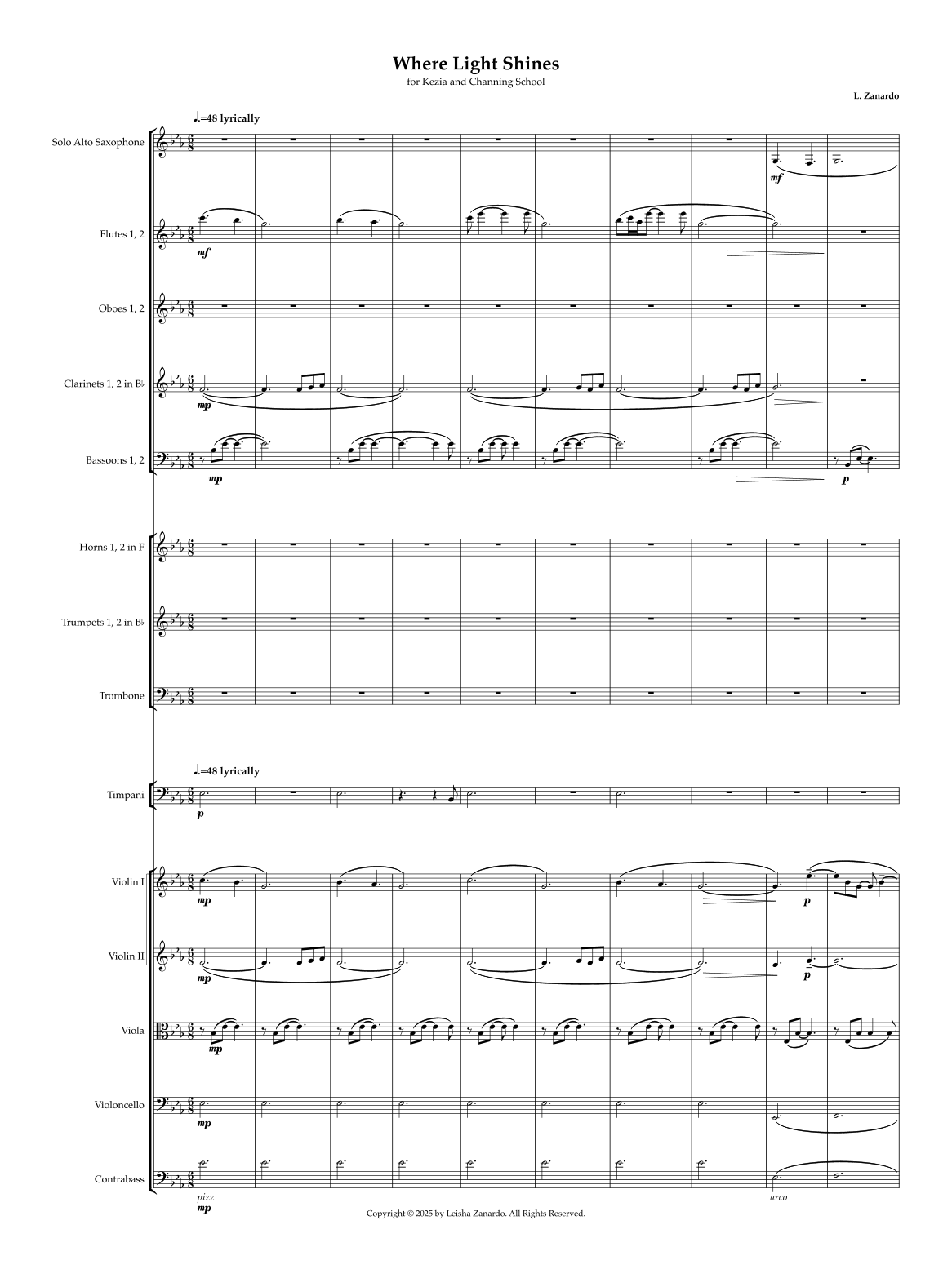 Where Light Shines by Leisha Zanardo Full Orchestra (管弦乐团) - 预览