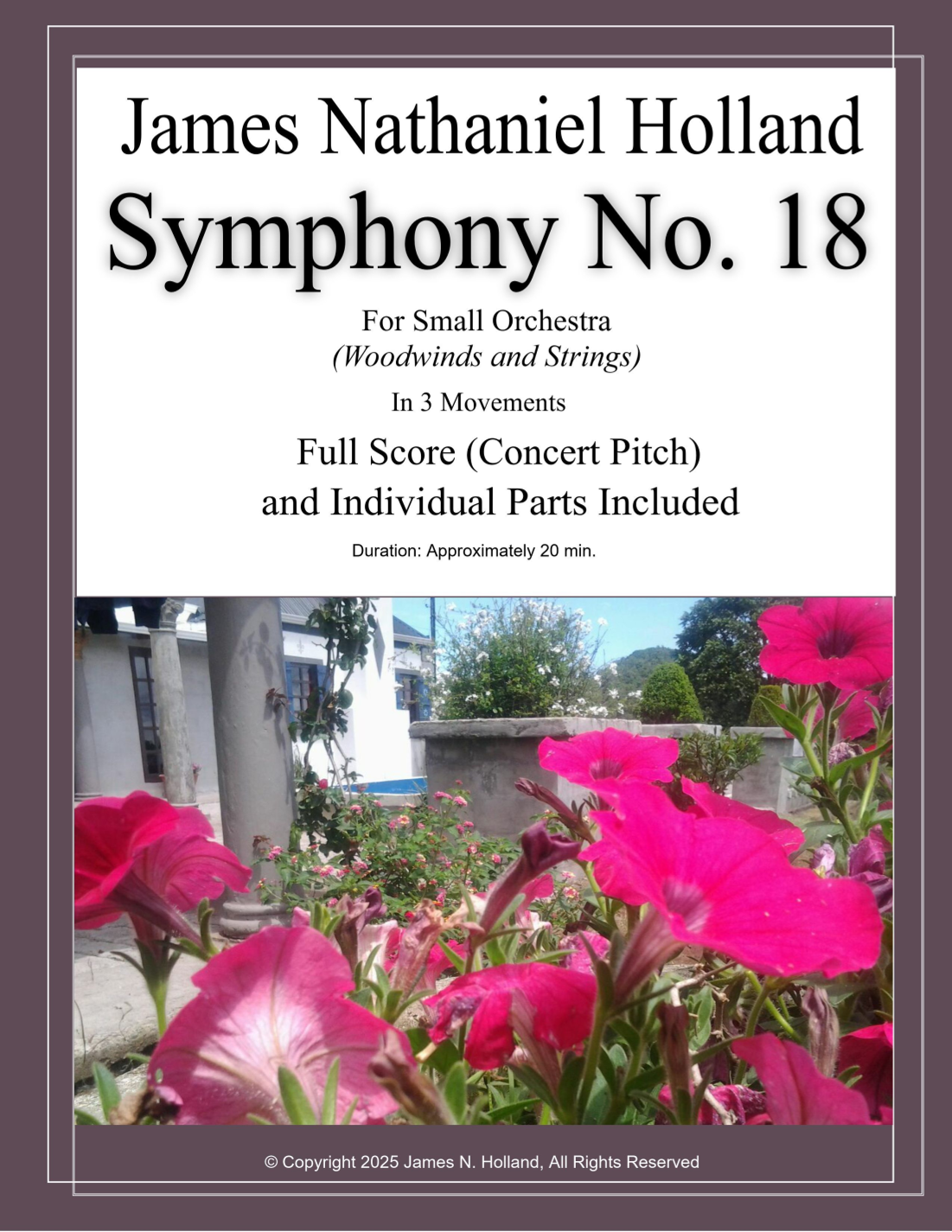 James Nathaniel Holland《Symphony No 18 for Woodwinds and Strings (Full Score and Parts)》(木管与弦乐第18号交响曲,总谱与分谱) Chamber Orchestra - 预览