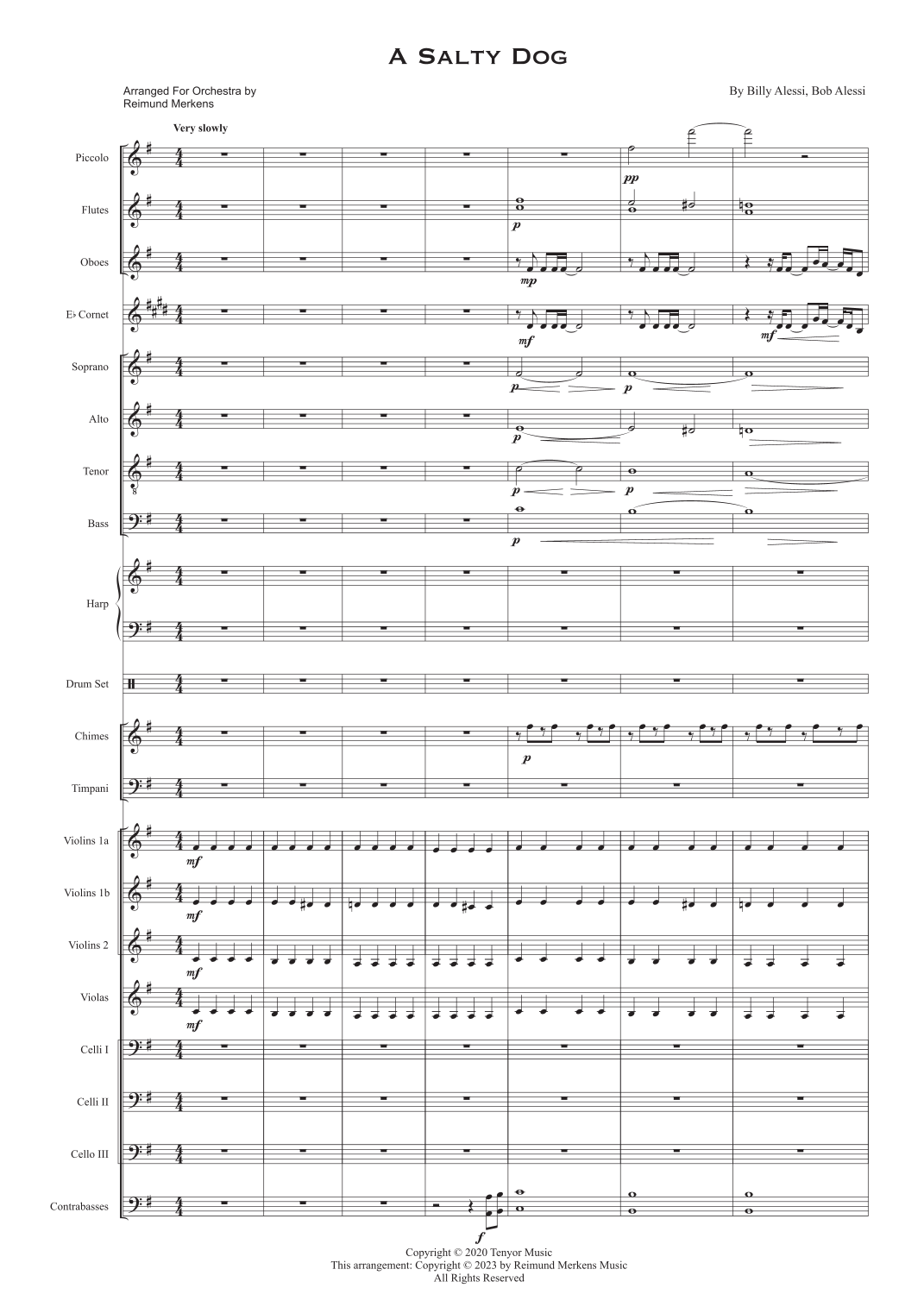 A Salty Dog - 仅总谱 (arr. Reimund Merkens) by Billy Alessi 管弦乐团 - 预览