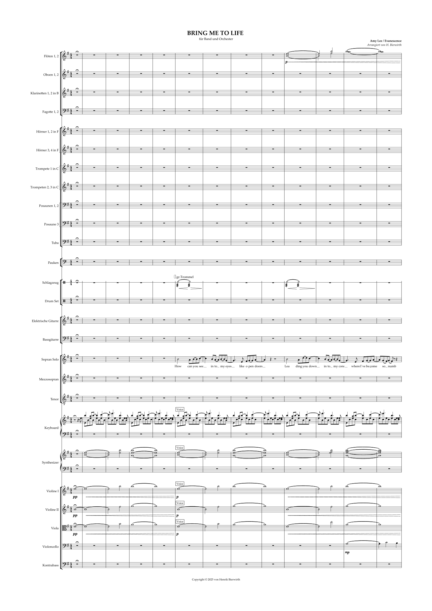 Bring Me To Life (arr. Henrik Bierwirth) by Evanescence 管弦乐团全谱 - 预览