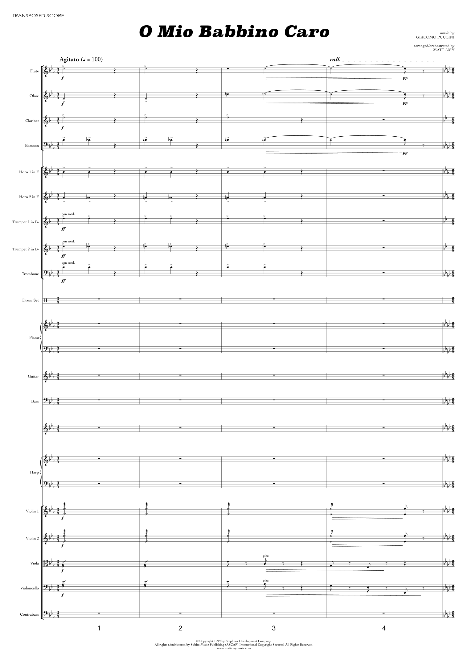 O Mio Babbino Caro (arr. Matt Amy) by Puccini 管弦乐团全谱 - 预览