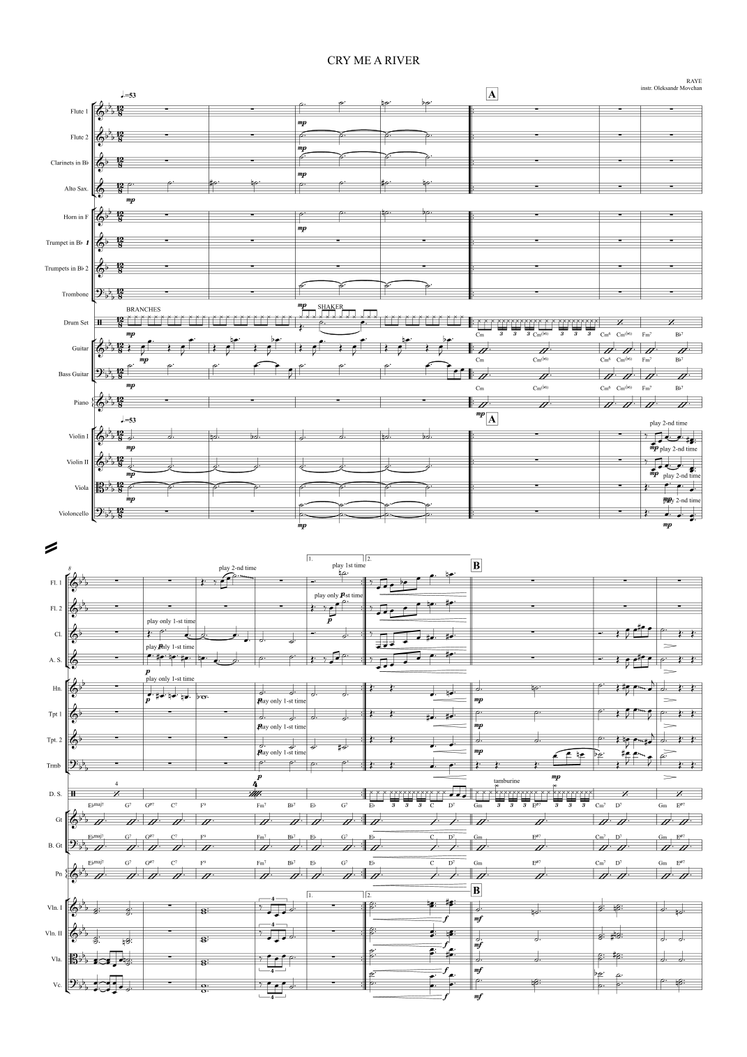 Cry Me A River (arr. Oleksandr Movchan) by RAYE 管弦乐团 - 预览