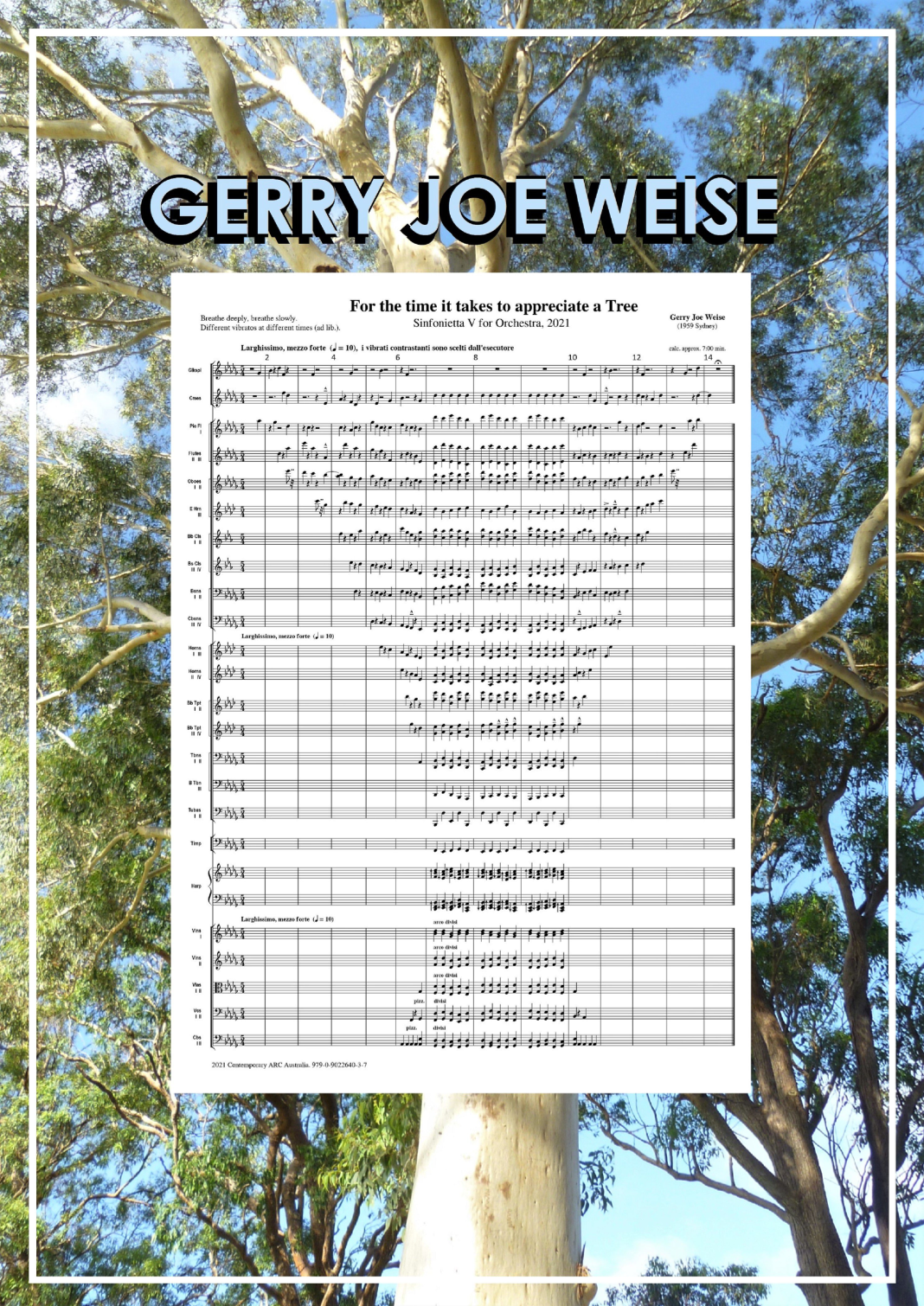 For the time it takes to appreciate a Tree, Sinfonietta No.5 by Gerry Joe Weise 管弦乐团 - 预览