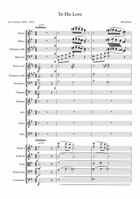 To His Love - 合唱与管弦乐团(Phil Rawle)管弦乐团全编制 - 预览