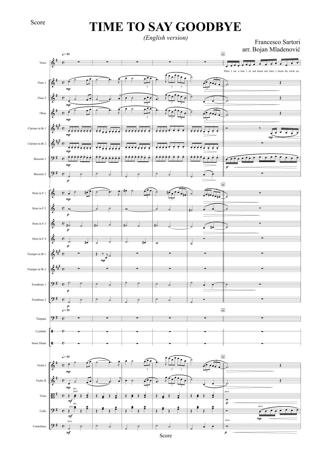 Con Te Partiro (Time To Say Goodbye) (arr. Bojan Mladenović) by Andrea Bocelli 管弦乐团全编制 - 预览