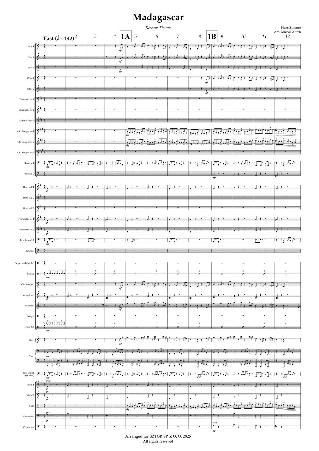 Madagascar (Rescue Theme) (arr. Michal Worek) by Hans Zimmer Full Orchestra (管弦乐团) - 预览