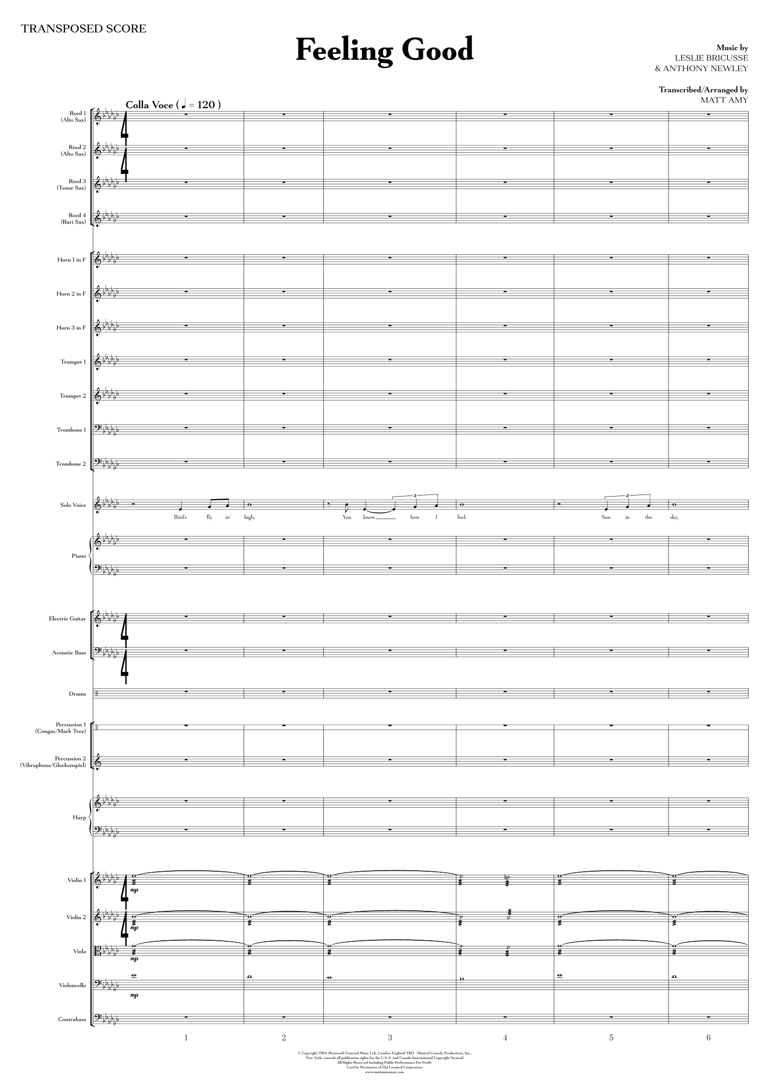 Feeling Good (arr. Matt Amy) by Michael Buble Full Orchestra (管弦乐团全谱) - 预览