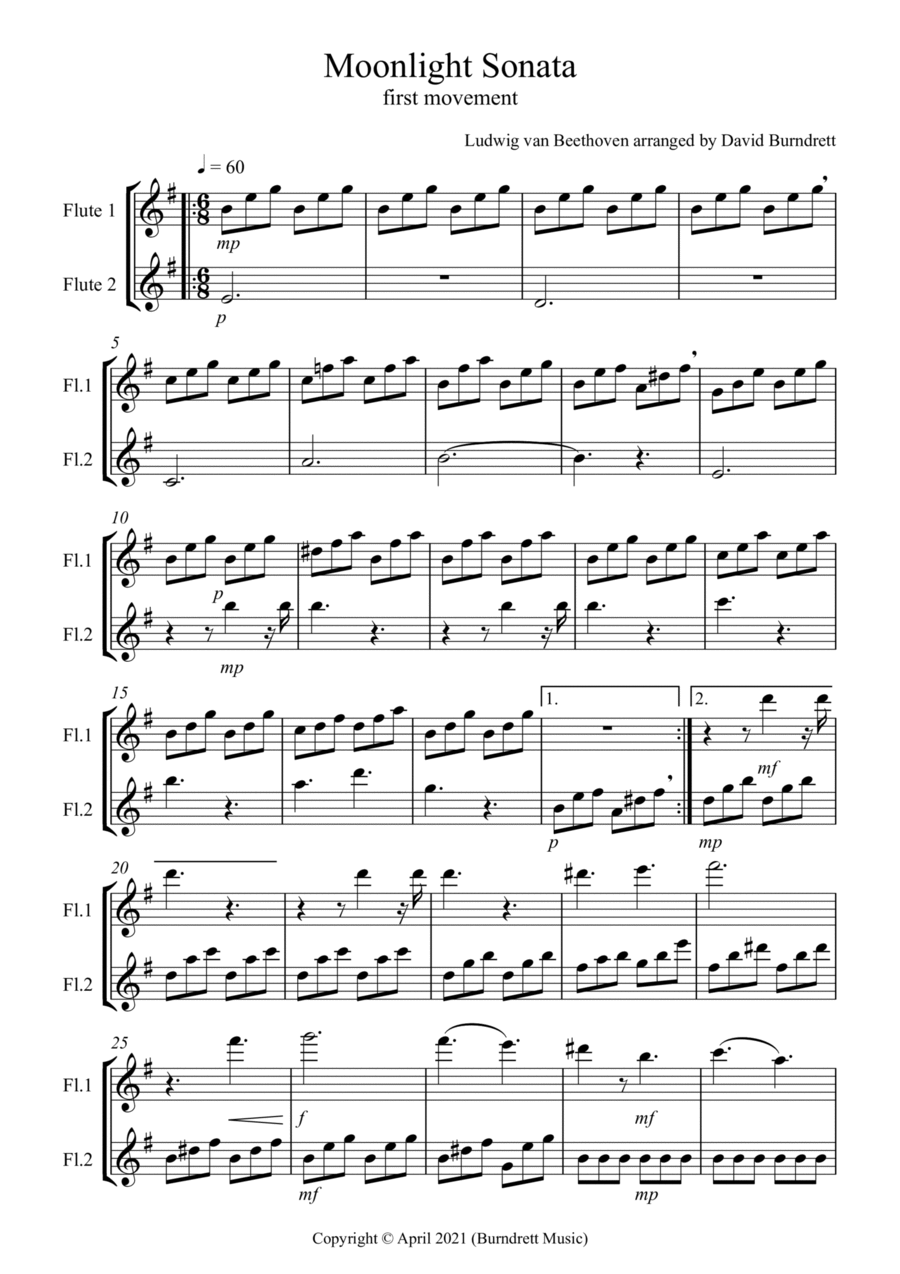Moonlight Sonata (1st movement) for Flute Duet by Ludwig Van