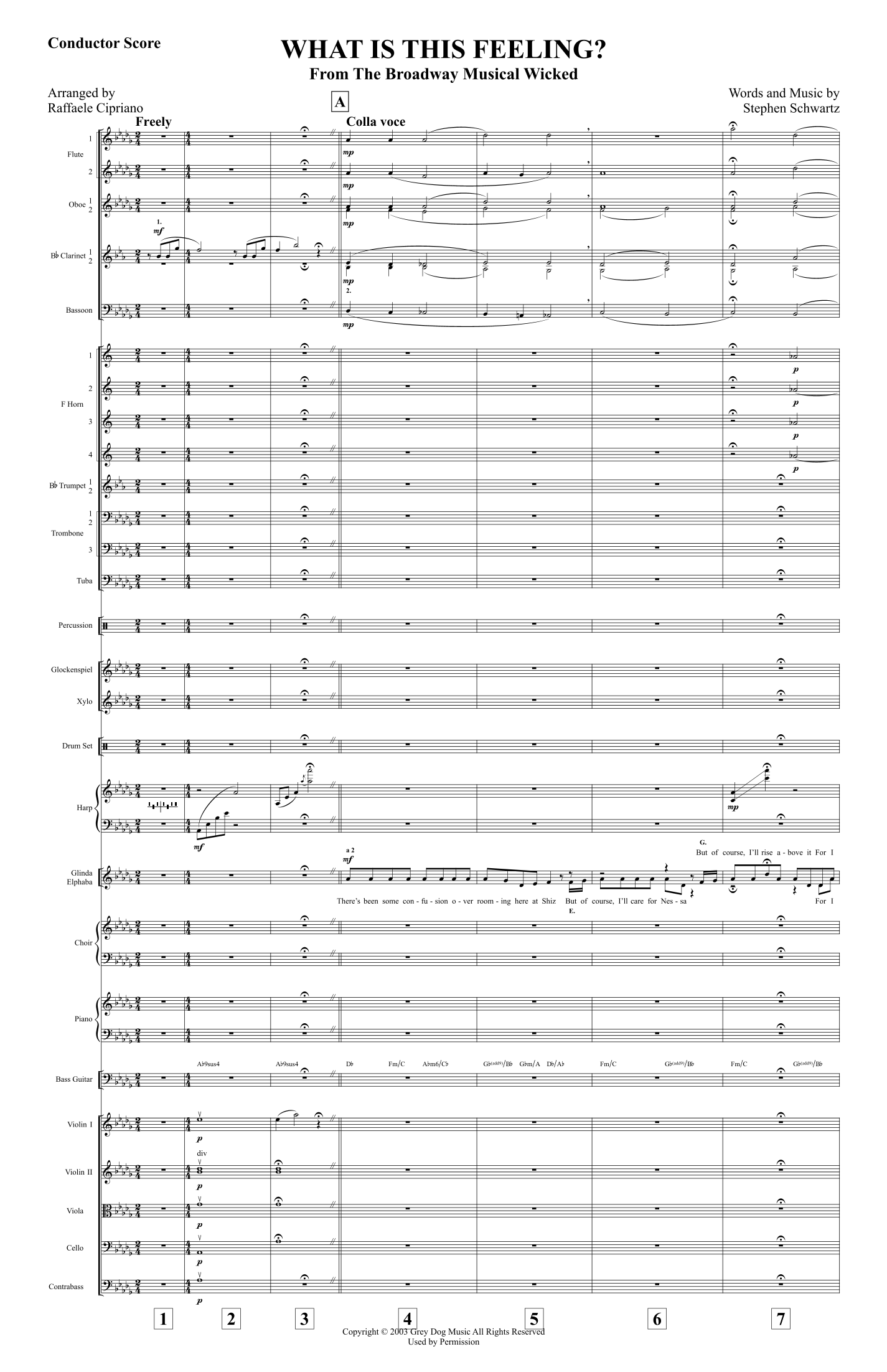 What Is This Feeling? (arr. Raffaele Cipriano) by Stephen Schwartz 管弦乐团 - 预览