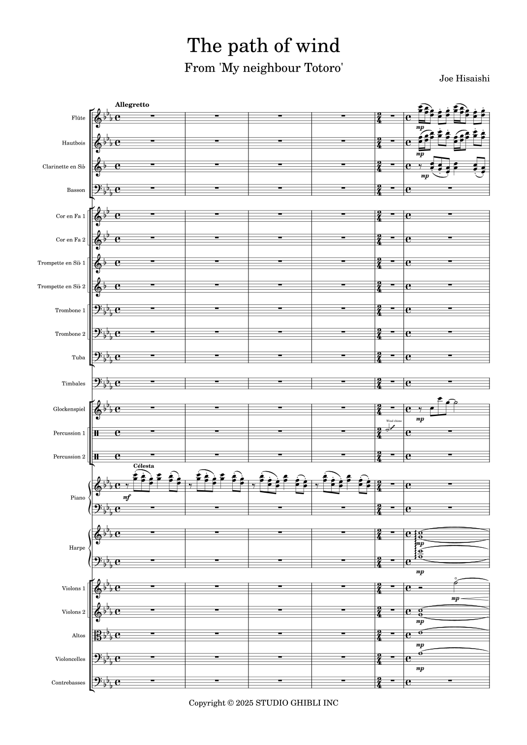 Totoro (arr. Gael Florens) by Jou Hisaishi Full Orchestra (龙猫 - 管弦乐团) - 预览