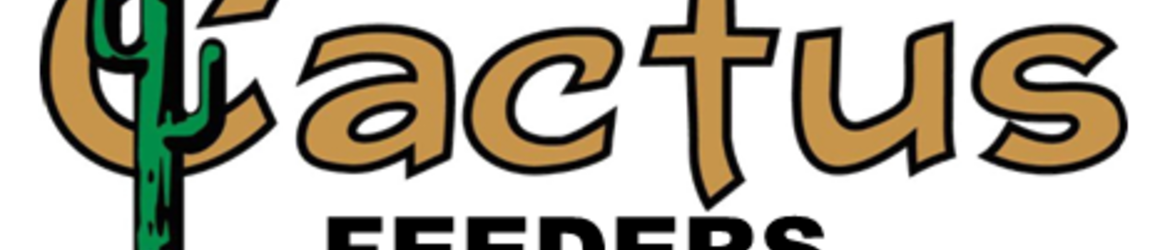 Cactus Feeders Read Reviews And Ask Questions Handshake