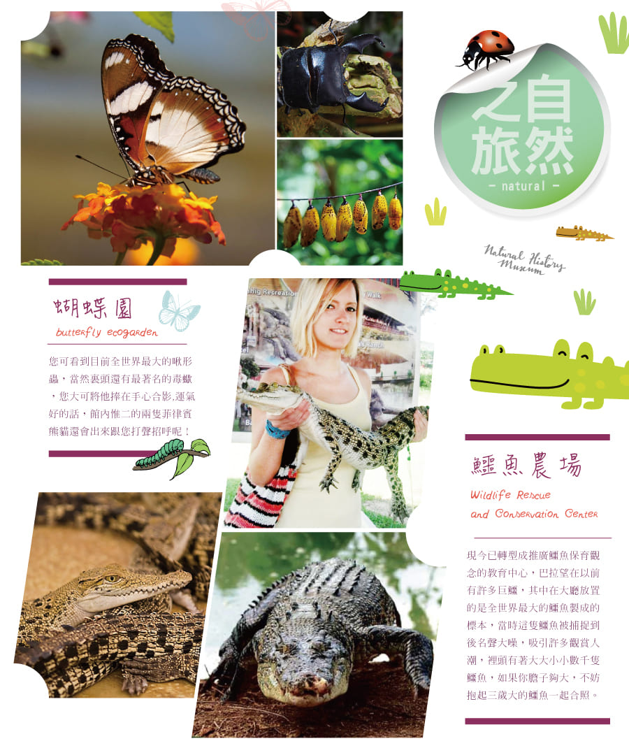【菲望不可超值六日遊】公主港-路尼島-海星島(台灣虎航/2人成行)