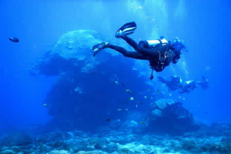 %E3%80%90PADI%E6%BD%9B%E6%B0%B4%E5%9F%B7%E7%85%A7%E3%80%91+%E9%96%8B%E6%94%BE%E6%B0%B4%E5%9F%9F+%E8%80%83%E5%8F%96%E6%BD%9B%E6%B0%B4%E5%9F%B7%E7%85%A7