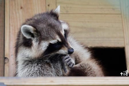 %E8%8A%B1%E8%93%AE%E4%BA%8C%E6%97%A5%E9%81%8A+%3C%E5%8C%85%E8%BB%8A%E5%B0%8F%E5%8C%85%E5%9C%98%3E+%7C+%E5%B1%B1%E6%B5%B7%E6%B4%84%E7%80%BE%2B%E9%96%8B%E5%BF%83%E8%BE%B2%E5%A0%B4%2B%E5%90%89%E7%B1%9F%E7%8D%B5%E4%BA%BA%E5%AD%B8%E6%A0%A1%2B%E7%AB%8B%E5%B7%9D%E6%BC%81%E5%A0%B4%2B%E9%9B%B2%E5%B1%B1%E6%B0%B4