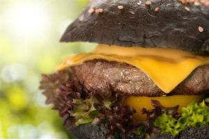 paleo diet myths
