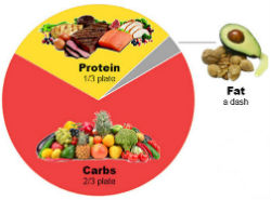 the zone diet