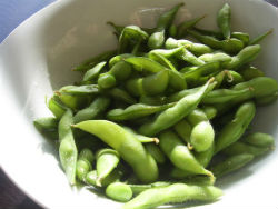 soya bean protein powder guide