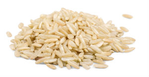 rice protein powder guide