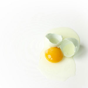 egg protein powder guide