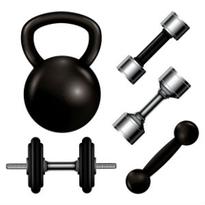 best protein powder for gaining muscle
