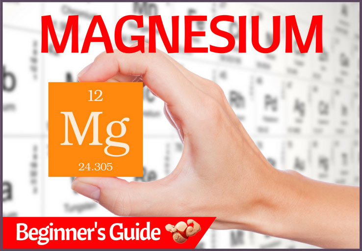 magnesium guide