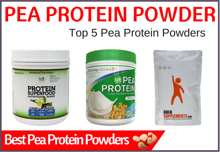 Best Pea Protein Powder (Top 5 & Best Tasting) Hard Boiled Body