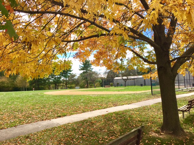 Local Park