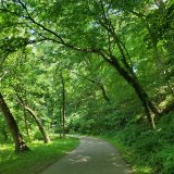 Cynwyd Heritage Trail nearby