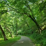 Hiking Trails