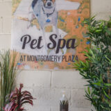Pet Spa