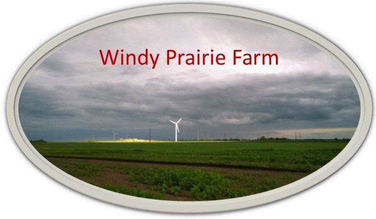 Windy Prairie Farm
