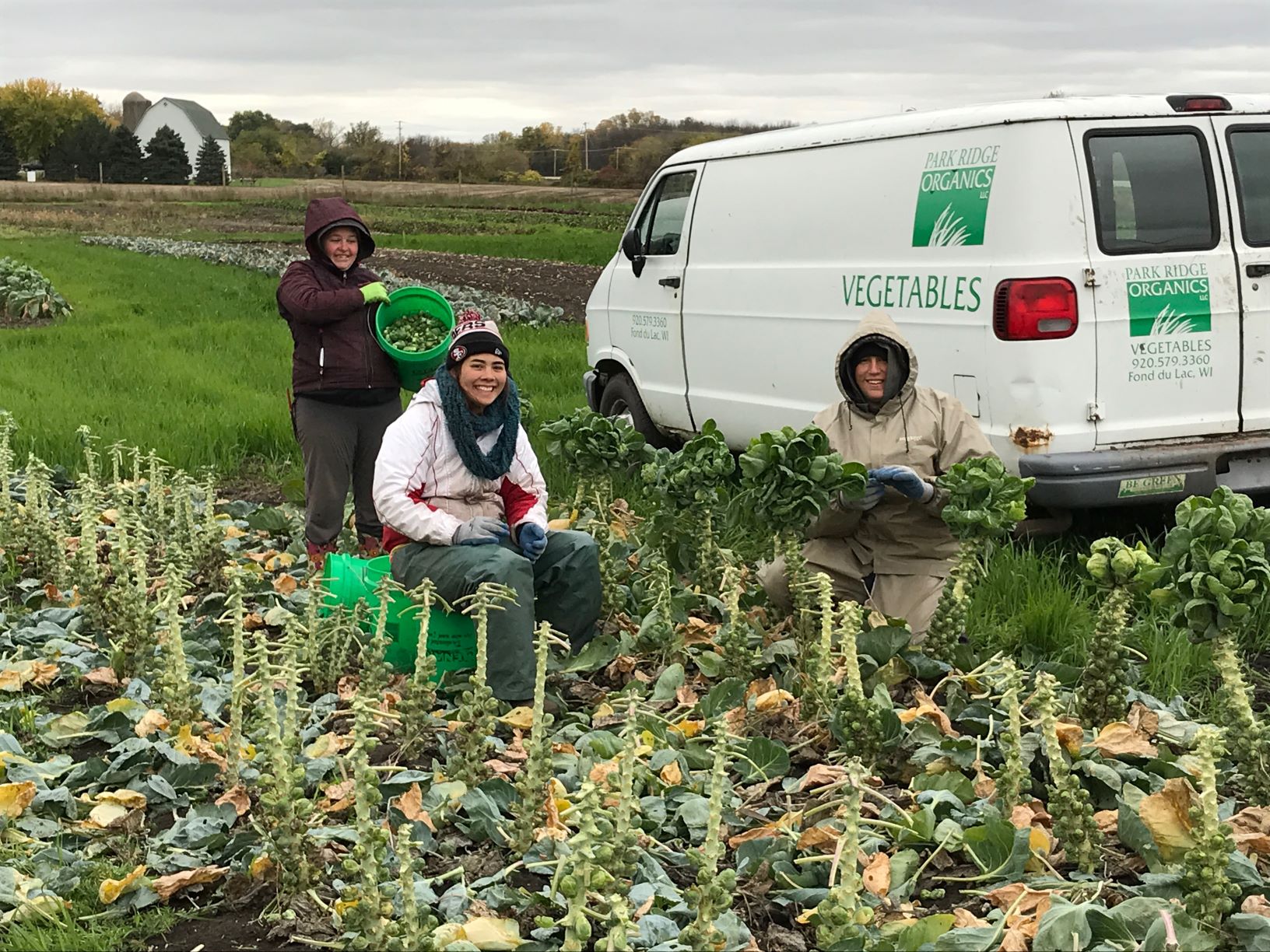Late Season Share 1 My Favorite Things! Farm Happenings at Park