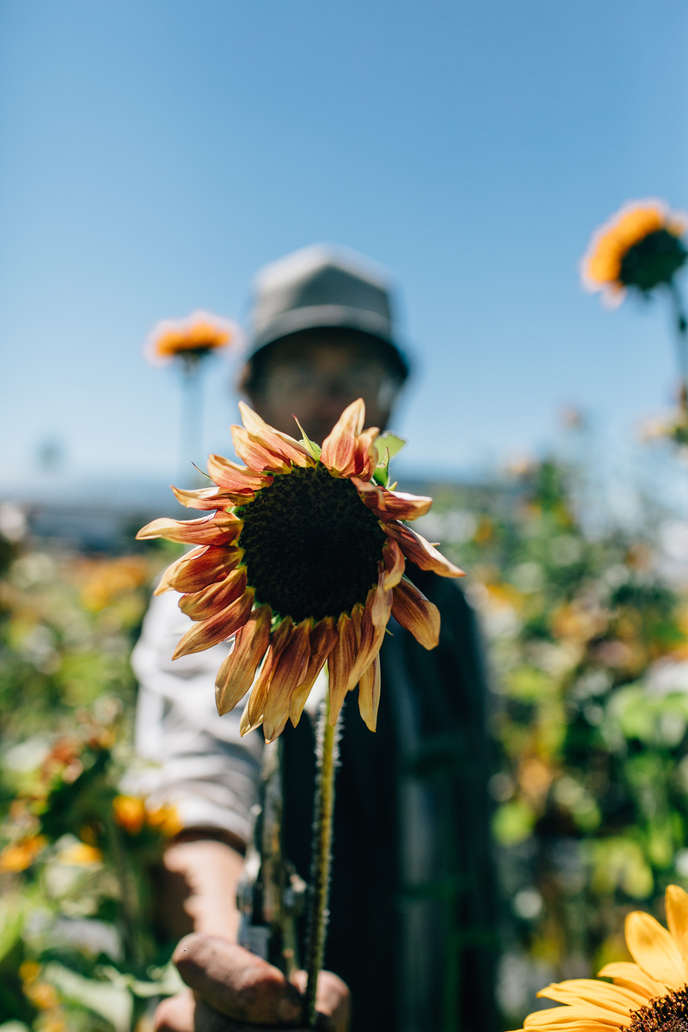 Last Delivery of the Fall Season! - Farm Happenings at Strike Farms ...