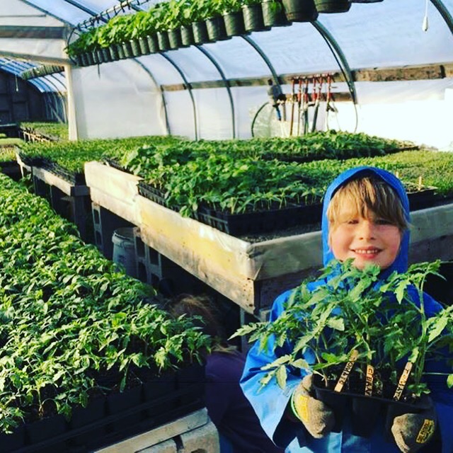 Farm Happenings for May 14, 2019 Farm Happenings at Daybreak Growers