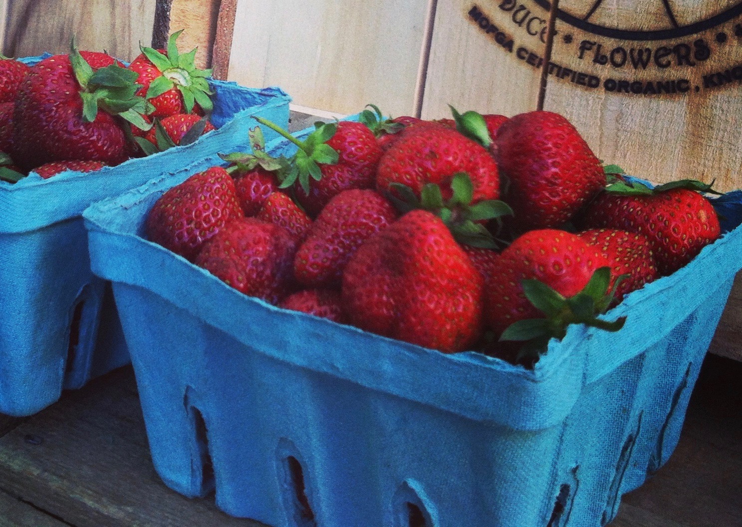 Farm Happenings for June 24th Farm Happenings at Daybreak Growers