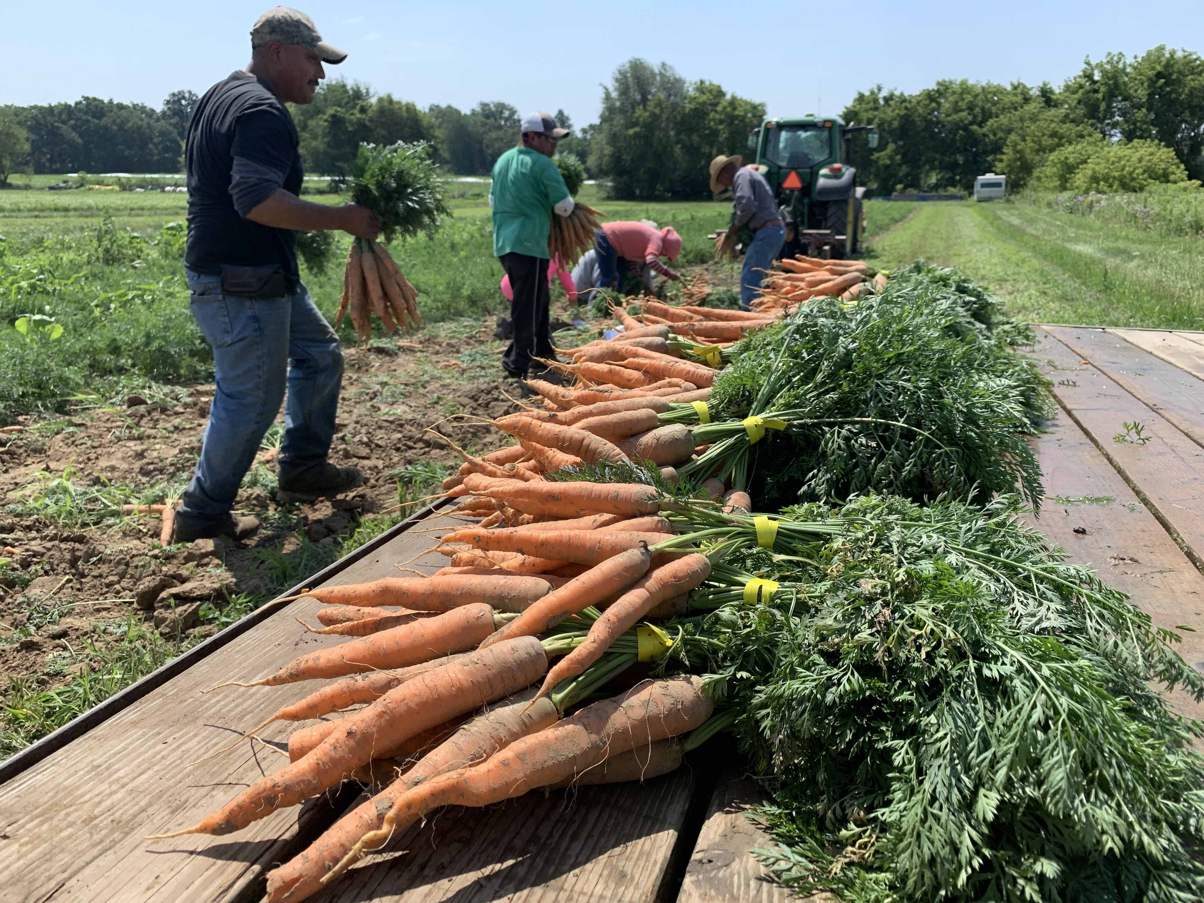 Farmer John Writes From Here to Where? Farm Happenings at Angelic