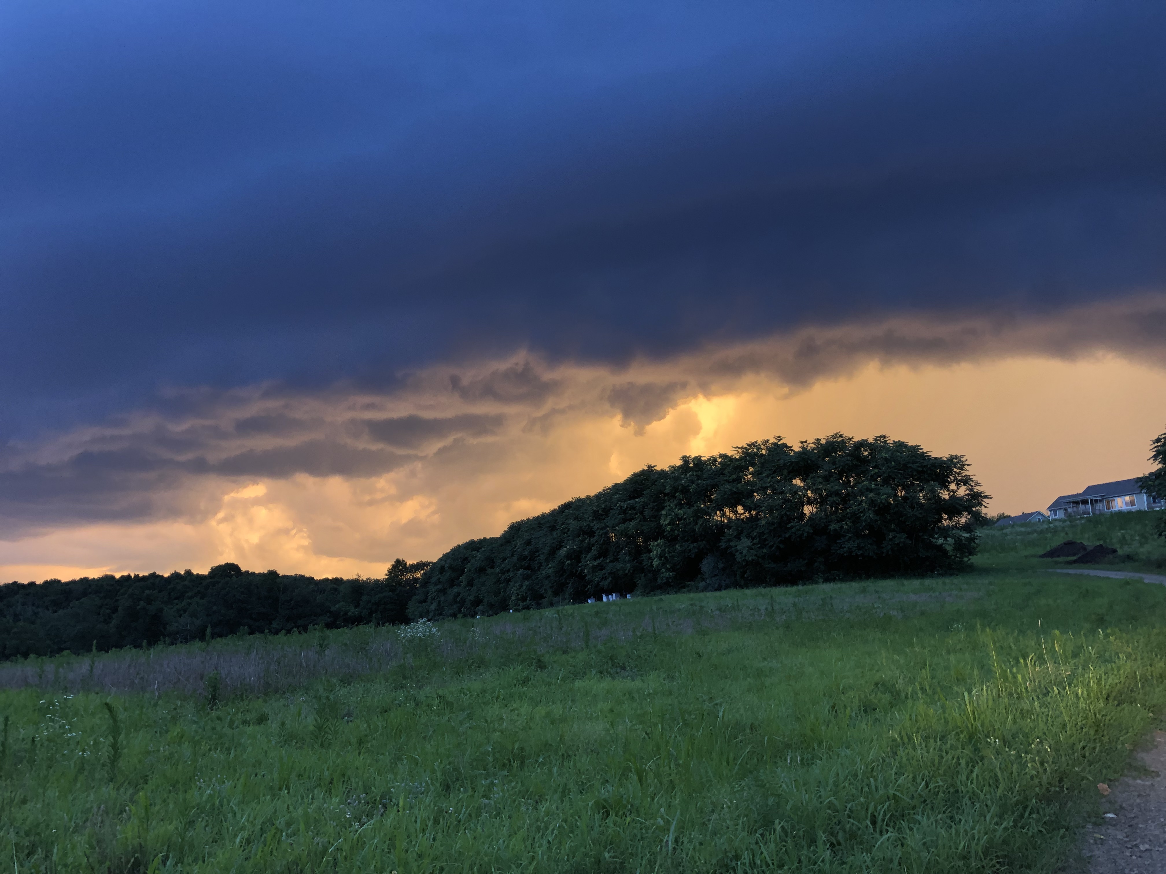 Farm Happenings for August 21, 2019 Farm Happenings at Red Earth Farm