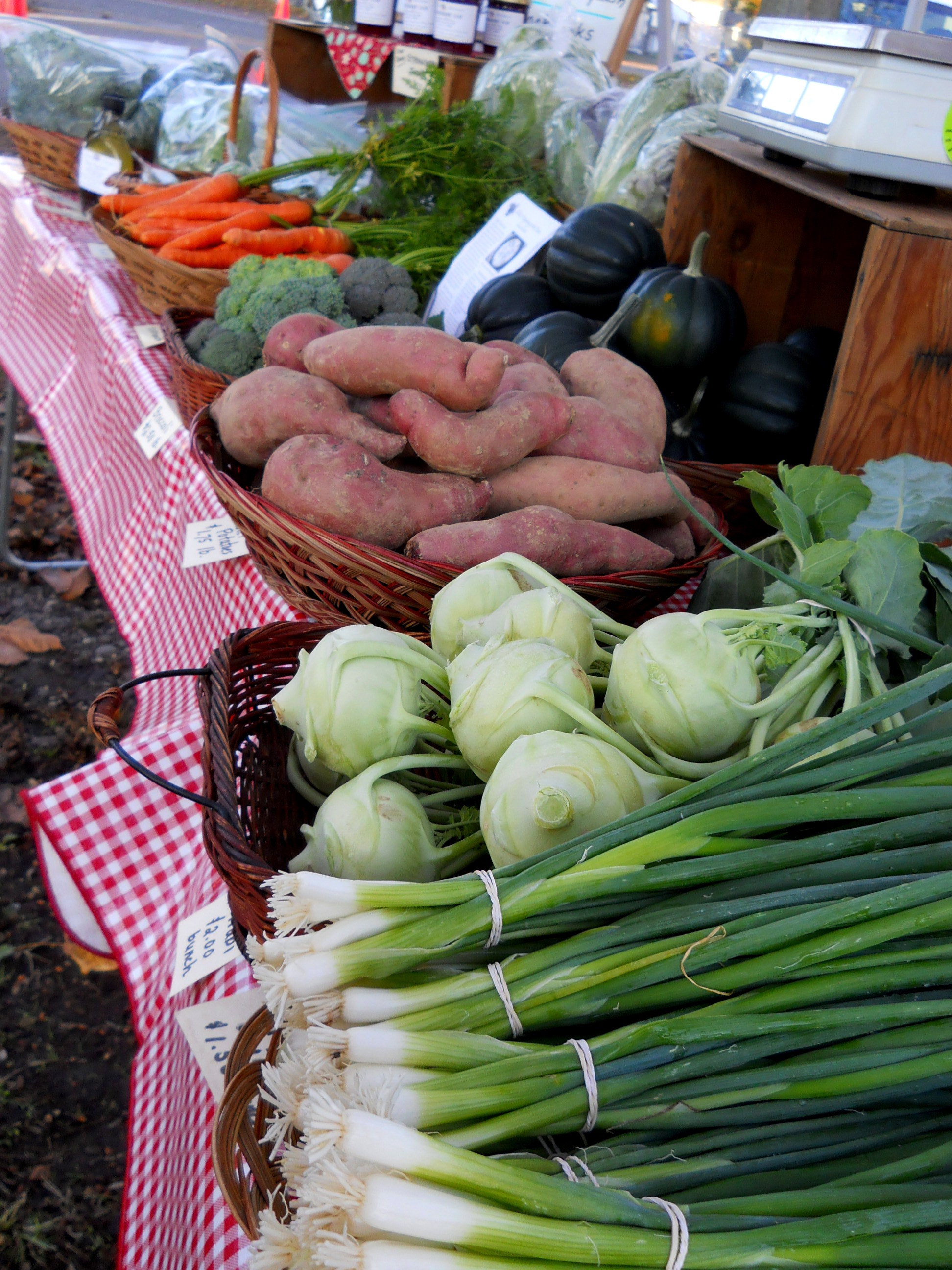 Welcome to Strawberry Hill Farm - Farm Happenings at Strawberry Hill