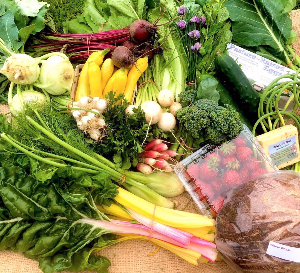 Farm Happenings for June 16, 2020 Farm Happenings at Oak Spring Farm