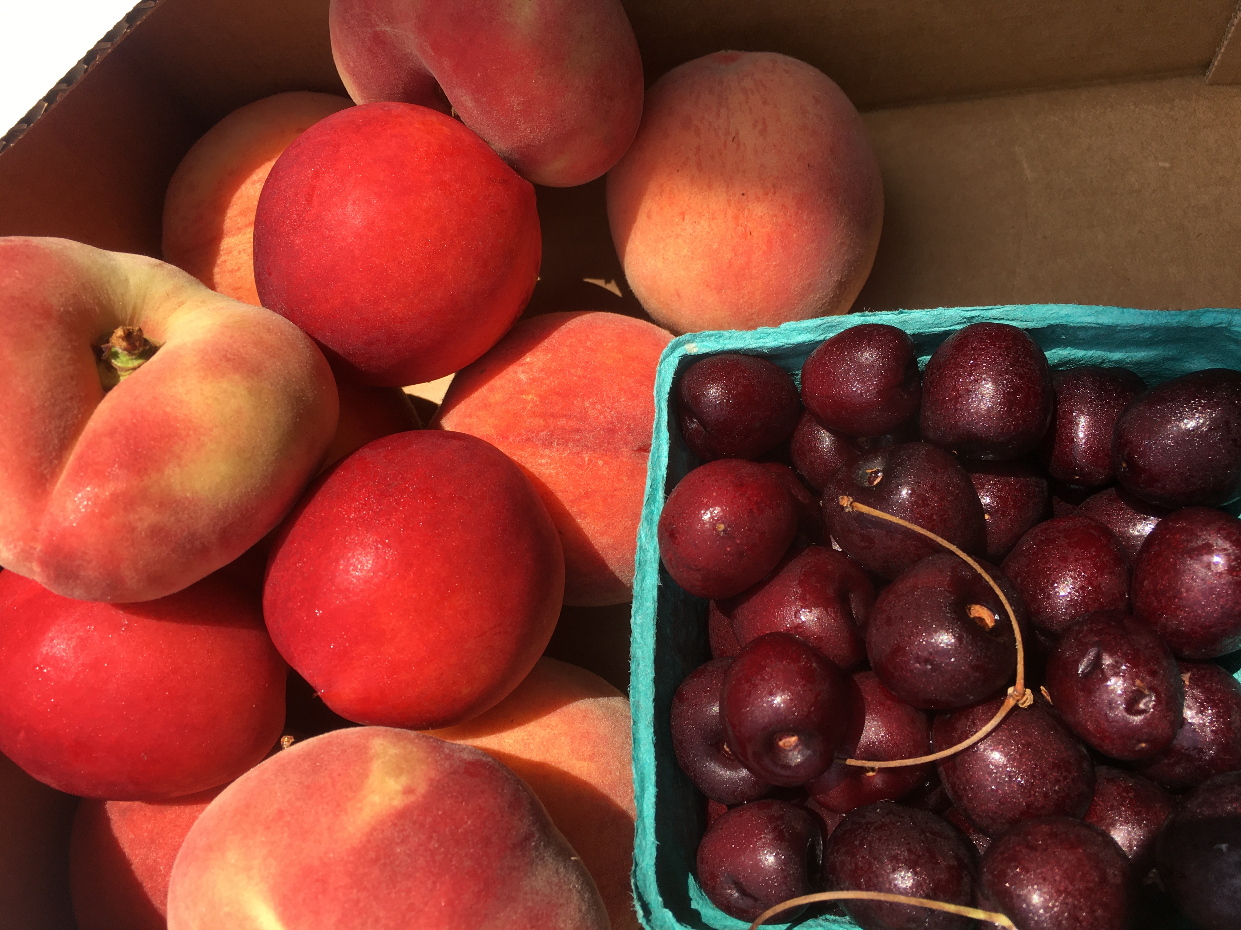 thank-you-for-an-easy-week-last-week-farm-happenings-at-agriberry