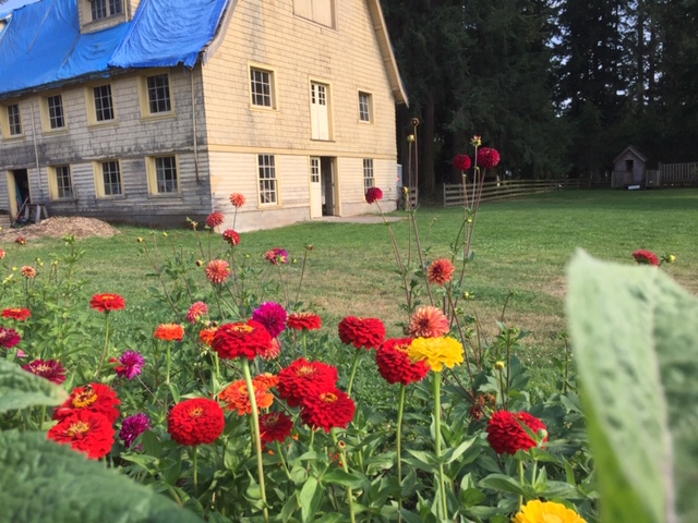 Farm Happenings for August 11, 2020 - Farm Happenings at A Rocha Farm ...