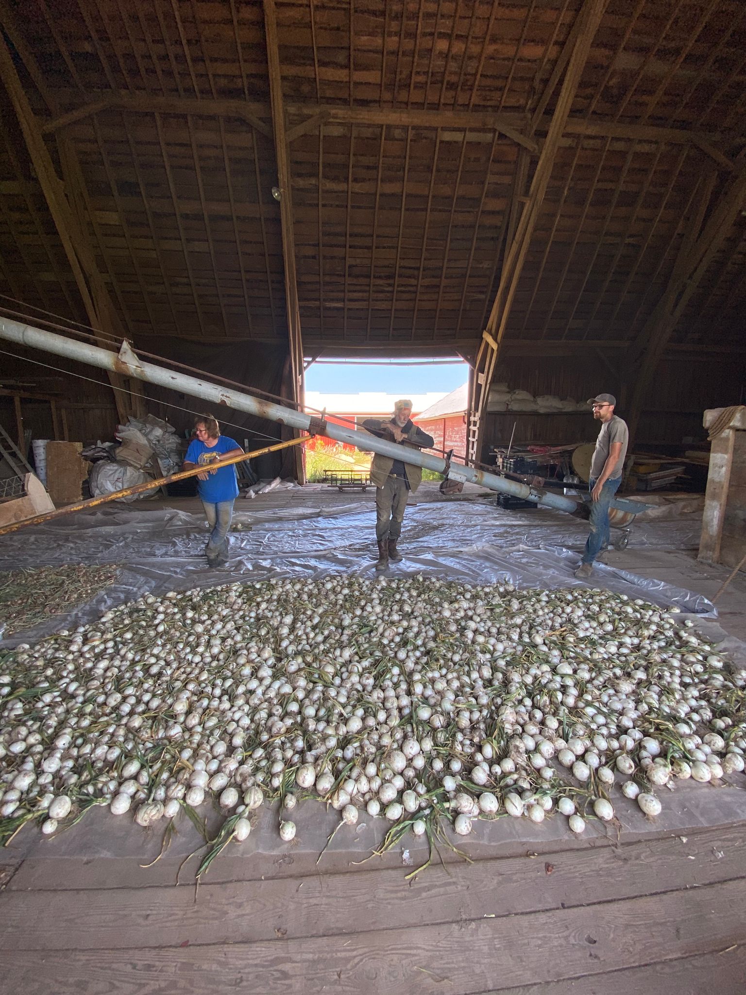 The Best Time of the Year is Now! Farm Happenings at Rare Earth Farm