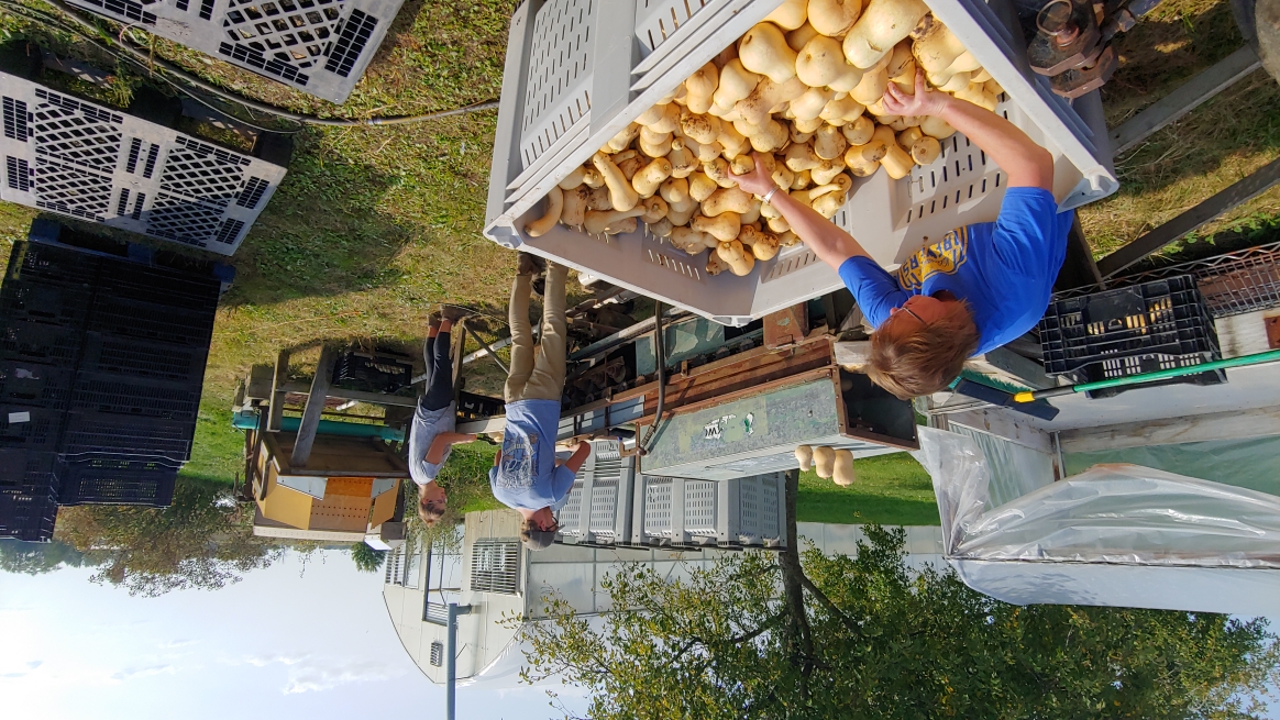 Farm Happenings for October 1, 2020 Farm Happenings at Rare Earth