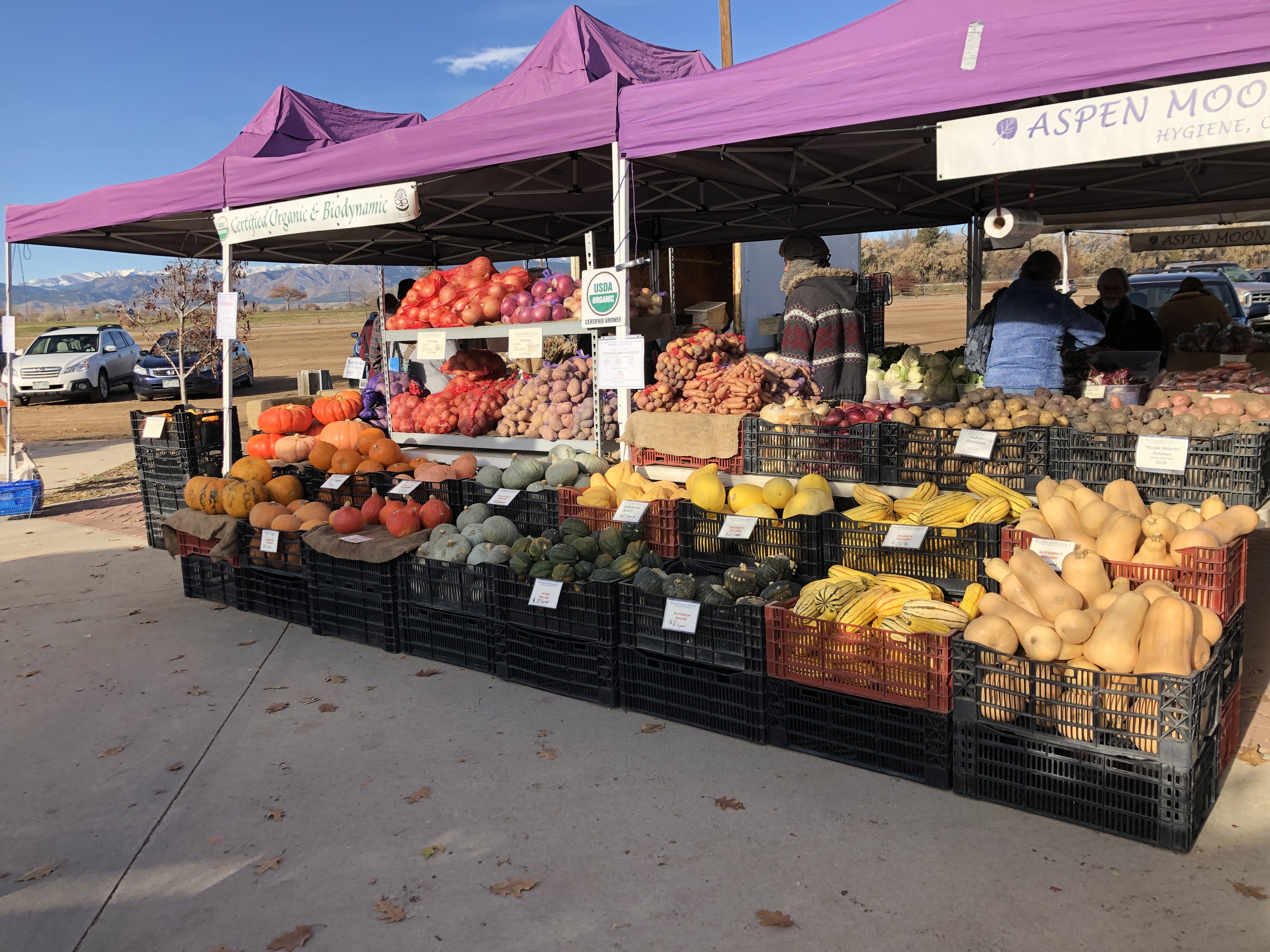 Fall CSA Week 1, 2020 Farm Happenings at Aspen Moon Farm Harvie